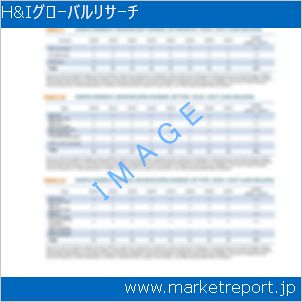 市場と産業調査レポートのイメージ